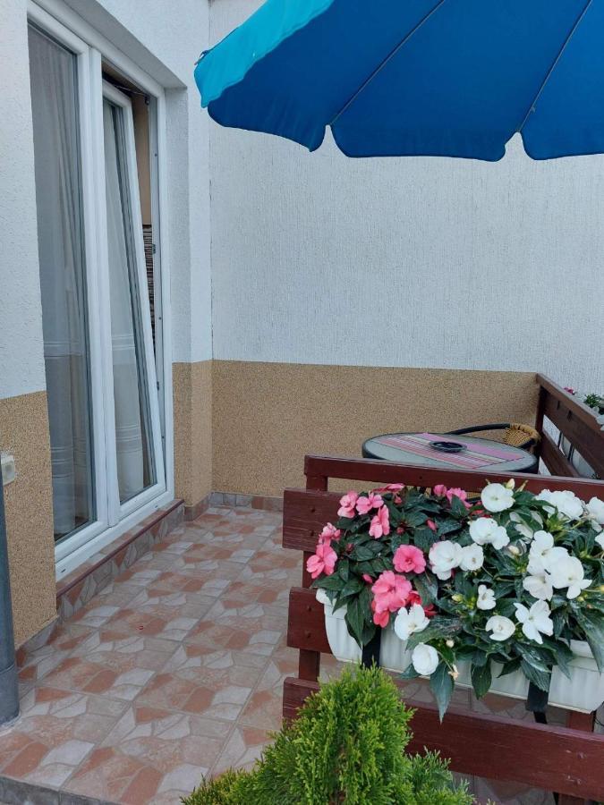 Apartmani Knezevic Zlatibor Zewnętrze zdjęcie