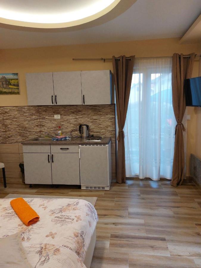 Apartmani Knezevic Zlatibor Zewnętrze zdjęcie