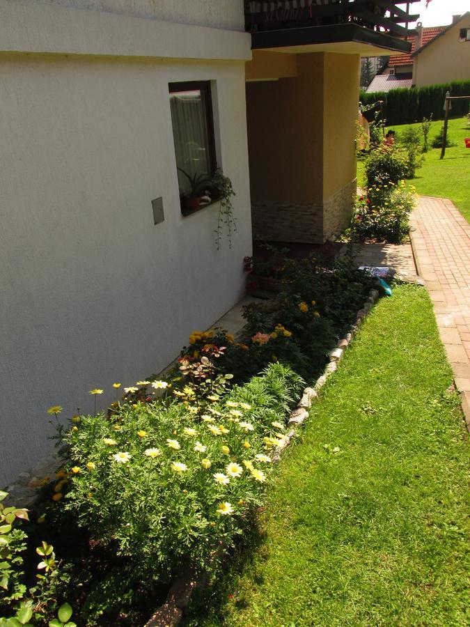 Apartmani Knezevic Zlatibor Zewnętrze zdjęcie
